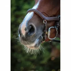 Outlet Bridon New York - Collection One - Jump'in Bridons Et Brides·Bridon Licol|Bridons Et Brides·Bridon Cuir