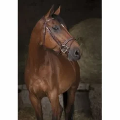 Outlet Bridon Pro Combiné Bridons Et Brides·Bridon Cuir