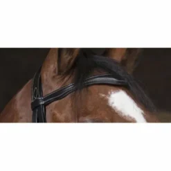 Outlet Bridon Pro Combiné Bridons Et Brides·Bridon Cuir