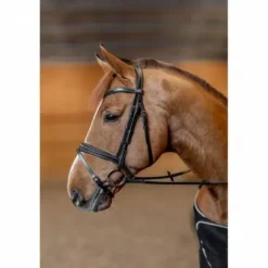 Best Bridon padded - anatomique rembourré, cuir souple Bridons Et Brides·Bridon Anatomique|Bridons Et Brides·Bridon Cuir
