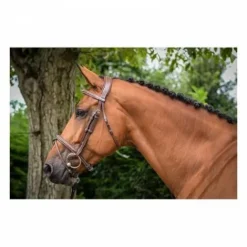 Outlet Bridon Paris - Collection One - Jump'in Bridons Et Brides·Bridon Licol|Bridons Et Brides·Bridon Cuir