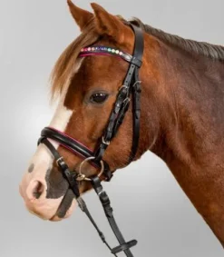 Hot Bridon Pinky Bridons Et Brides·Bridon Cuir