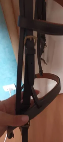 Bridon poney Bridons Et Brides·Bridon Cuir