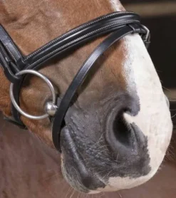 New Bridon pro fin - Bridons Et Brides·Bridon Cuir