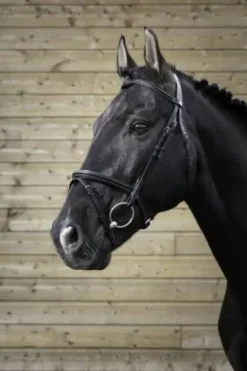 New Bridon pro fin - Bridons Et Brides·Bridon Cuir