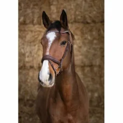 Discount Bridon Pro Miss Marron - Bridons Et Brides·Bridon Cuir