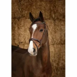 Bridon Pro Perle Marron - Bridons Et Brides·Bridon Cuir