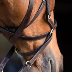 Discount Bridon Micklem 2 Multibride - Horseware Bridons Et Brides·Bridon Cuir