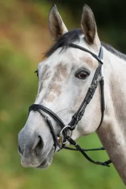 Best Bridon Regular Bridons Et Brides·Bridon Cuir