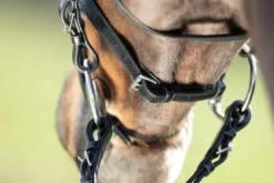 Best Bridon Regular Bridons Et Brides·Bridon Cuir