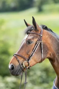 Best Bridon Regular Bridons Et Brides·Bridon Cuir