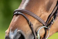 Best Bridon Regular Bridons Et Brides·Bridon Cuir