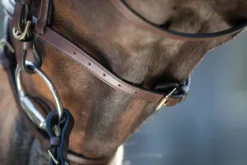 Best Bridon Regular Bridons Et Brides·Bridon Cuir