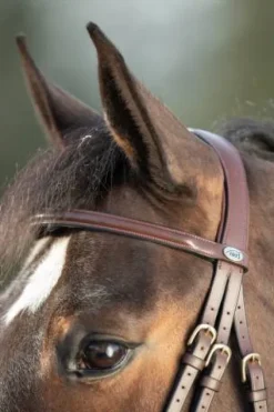 Best Bridon Regular Bridons Et Brides·Bridon Cuir