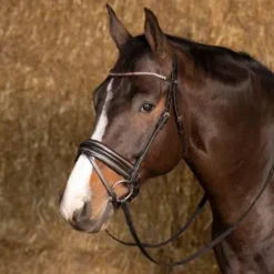 Bridon Rosegold Wide - Harry's Horse Bridons Et Brides·Bridon Cuir