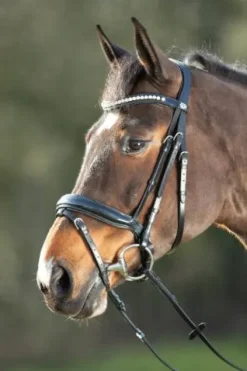 Outlet Bridon Shiny Bridons Et Brides·Bridon Cuir