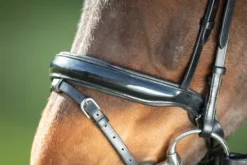 Outlet Bridon Shiny Bridons Et Brides·Bridon Cuir