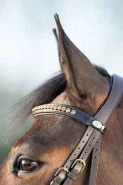 Outlet Bridon Shiny Bridons Et Brides·Bridon Cuir