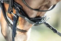 Outlet Bridon Shiny Bridons Et Brides·Bridon Cuir