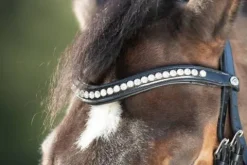 Outlet Bridon Shiny Bridons Et Brides·Bridon Cuir