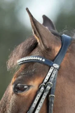 Outlet Bridon Shiny Bridons Et Brides·Bridon Cuir