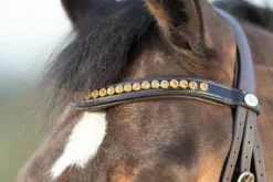 Outlet Bridon Shiny Bridons Et Brides·Bridon Cuir