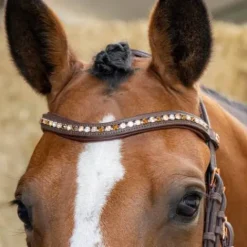 Online Bridon Soft Bombastic Crystals - HARRY'S HORSE Bridons Et Brides·Bridon Anatomique|Bridons Et Brides·Bridon Cuir