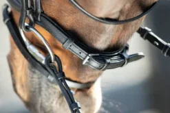 Hot Bridon Soft Bridons Et Brides·Bridon Cuir