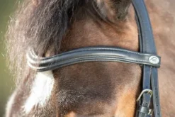 Hot Bridon Soft Bridons Et Brides·Bridon Cuir