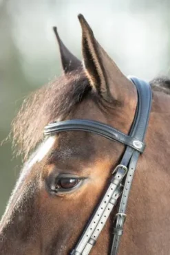 Hot Bridon Soft Bridons Et Brides·Bridon Cuir