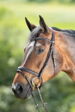 Hot Bridon Soft Bridons Et Brides·Bridon Cuir