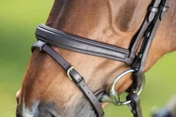 Hot Bridon Soft Bridons Et Brides·Bridon Cuir