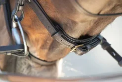 Hot Bridon Soft Bridons Et Brides·Bridon Cuir