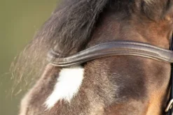 Hot Bridon Soft Bridons Et Brides·Bridon Cuir