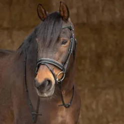 Best Bridon Sparkle - Harry's Horse Bridons Et Brides·Bridon Cuir