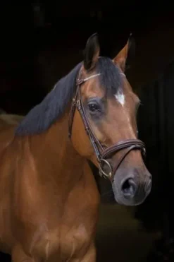 Bridon Strass Pro - Bridons Et Brides·Bridon Anatomique|Bridons Et Brides·Bridon Cuir