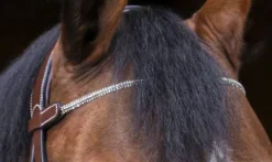 Bridon Strass Pro - Bridons Et Brides·Bridon Anatomique|Bridons Et Brides·Bridon Cuir