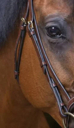 Bridon Strass Pro - Bridons Et Brides·Bridon Anatomique|Bridons Et Brides·Bridon Cuir