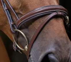 Bridon Strass Pro - Bridons Et Brides·Bridon Anatomique|Bridons Et Brides·Bridon Cuir