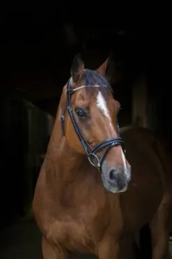 Bridon Strass Pro - Bridons Et Brides·Bridon Anatomique|Bridons Et Brides·Bridon Cuir