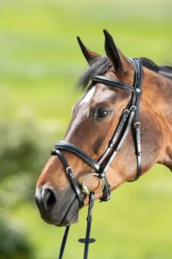 Outlet Bridon Technical Bridons Et Brides·Bridon Licol|Bridons Et Brides·Bridon Cuir