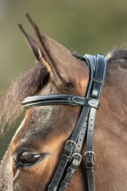 Outlet Bridon Technical Bridons Et Brides·Bridon Licol|Bridons Et Brides·Bridon Cuir