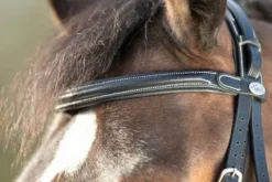 Outlet Bridon Technical Bridons Et Brides·Bridon Licol|Bridons Et Brides·Bridon Cuir