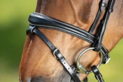 Outlet Bridon Technical Bridons Et Brides·Bridon Licol|Bridons Et Brides·Bridon Cuir
