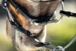 Outlet Bridon Technical Bridons Et Brides·Bridon Licol|Bridons Et Brides·Bridon Cuir