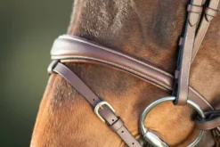 Outlet Bridon Technical Bridons Et Brides·Bridon Licol|Bridons Et Brides·Bridon Cuir