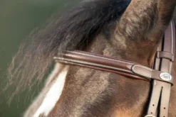 Outlet Bridon Technical Bridons Et Brides·Bridon Licol|Bridons Et Brides·Bridon Cuir