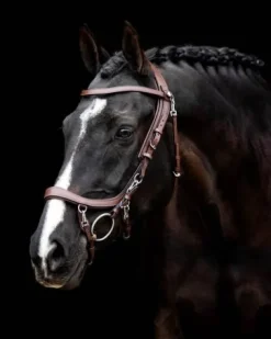 New Bridon technique Faysport Bridons Et Brides·Bridon Cuir