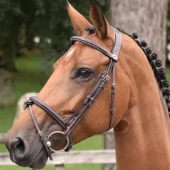 Hot Bridon Thursday muserolle combinée - Collection Week - Bridons Et Brides·Bridon Cuir