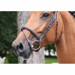 Hot Bridon Thursday muserolle combinée - Collection Week - Bridons Et Brides·Bridon Cuir